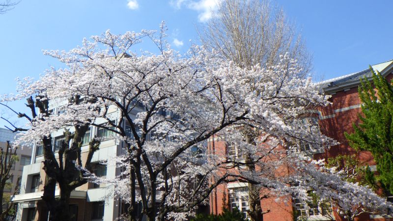 令和2年度コース学位授与式